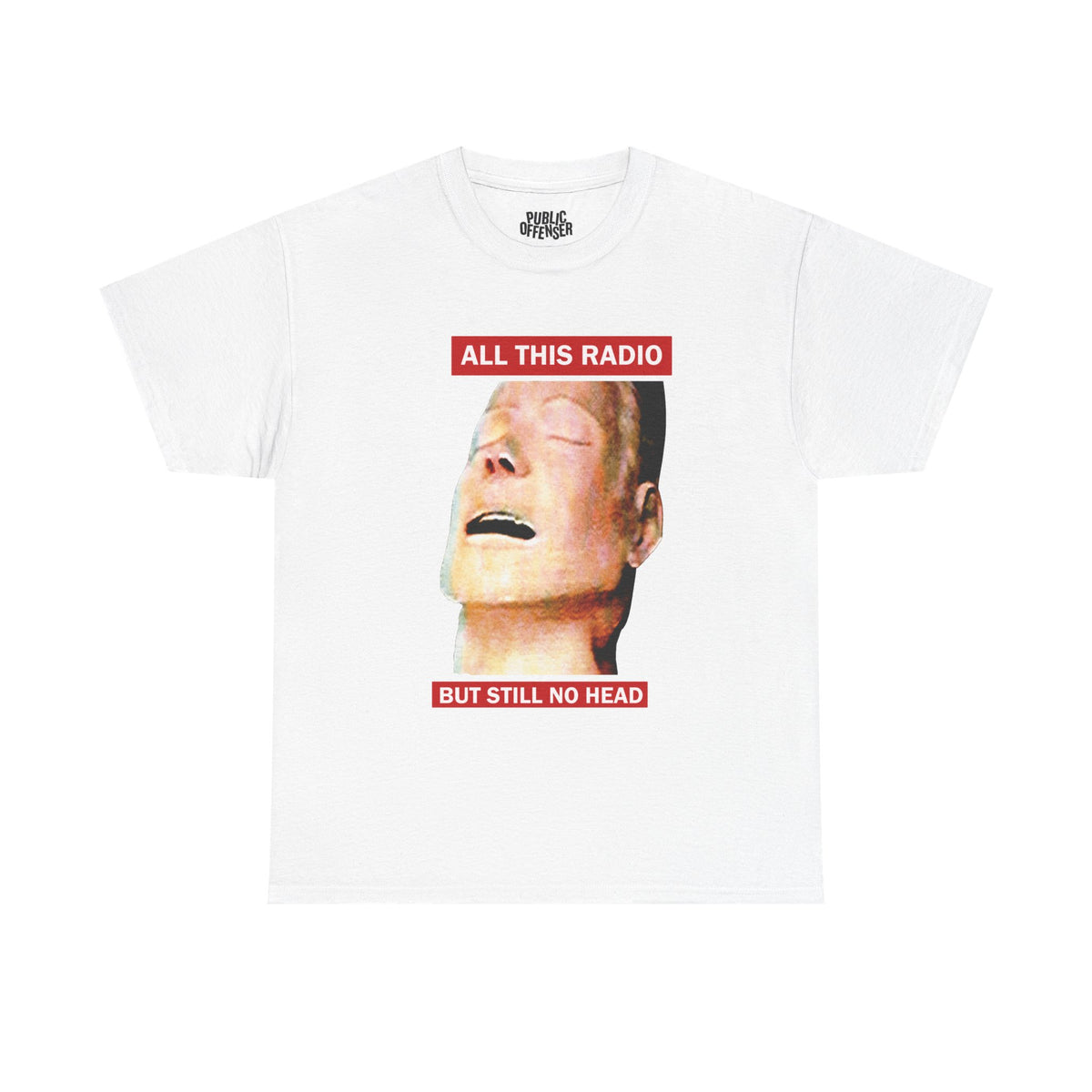 All This Radio funny absurd meme t-shirt front view, heavy cotton unisex tee