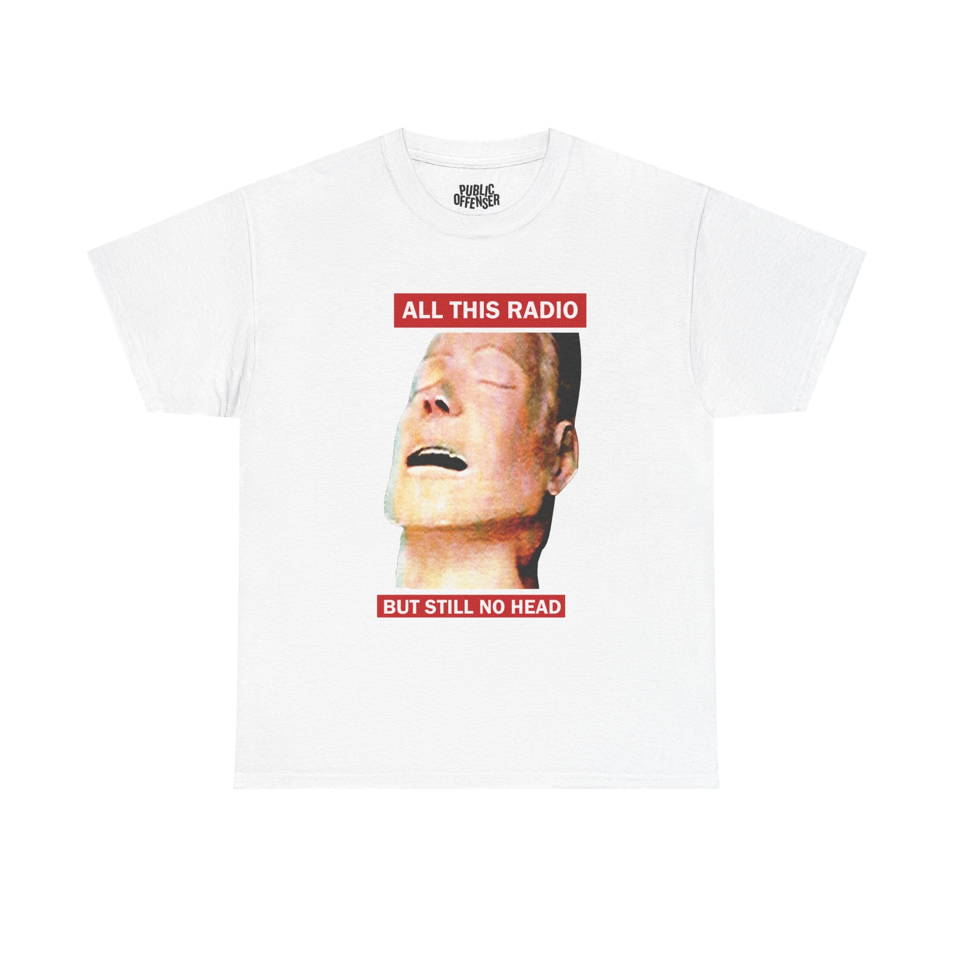 All This Radio funny absurd meme t-shirt front view, heavy cotton unisex tee